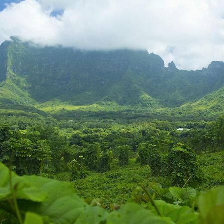 Raiatea - Studio Tenape Tevaitoa 外观 照片