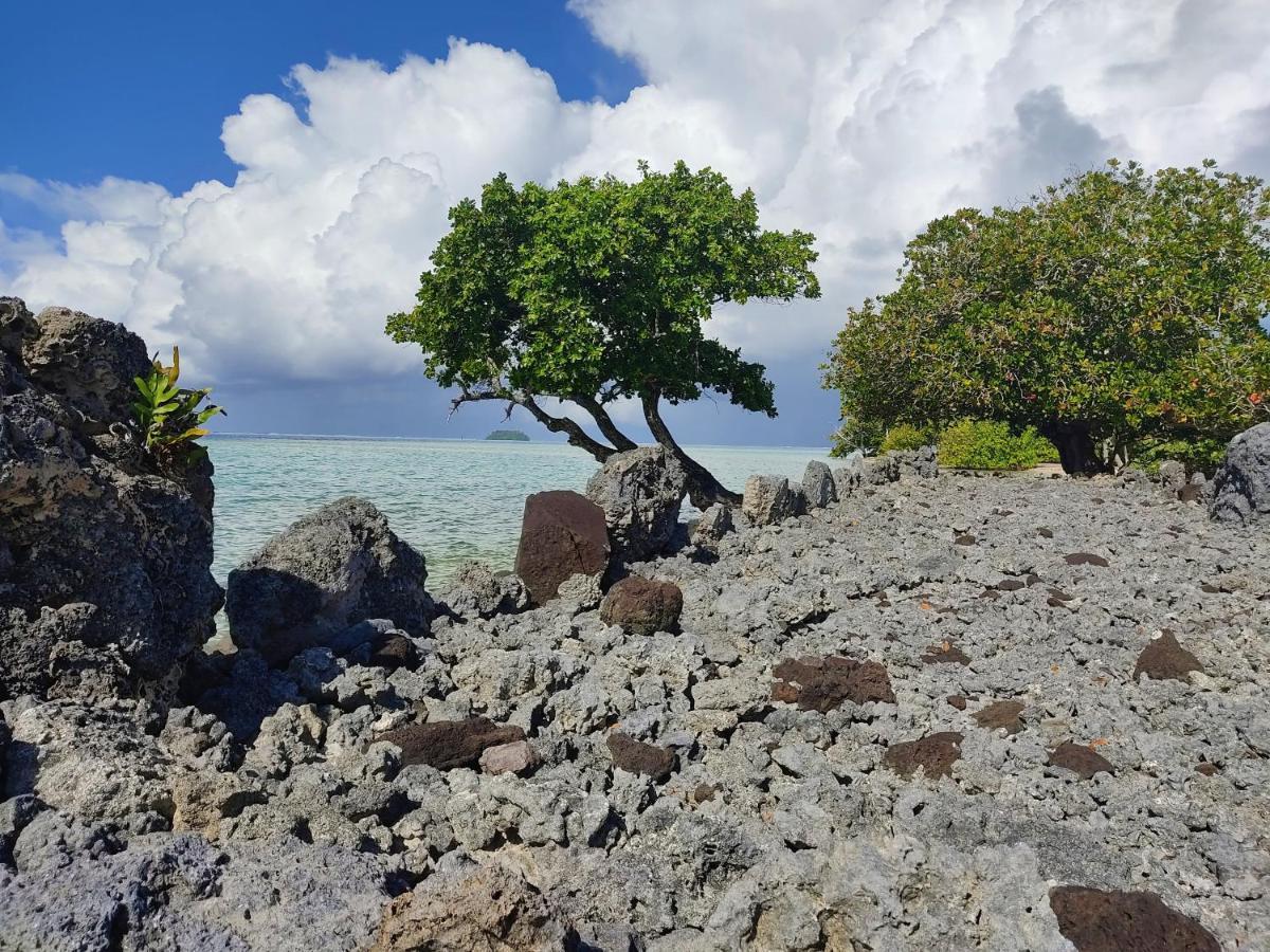 Raiatea - Studio Tenape Tevaitoa 外观 照片
